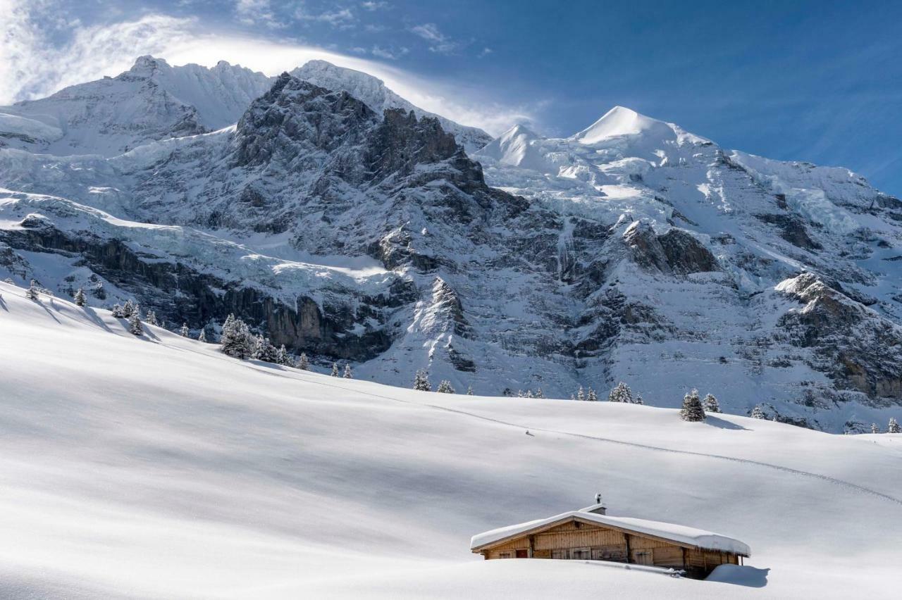 Appartamento O 68 Haus Bel Air Wengen Esterno foto