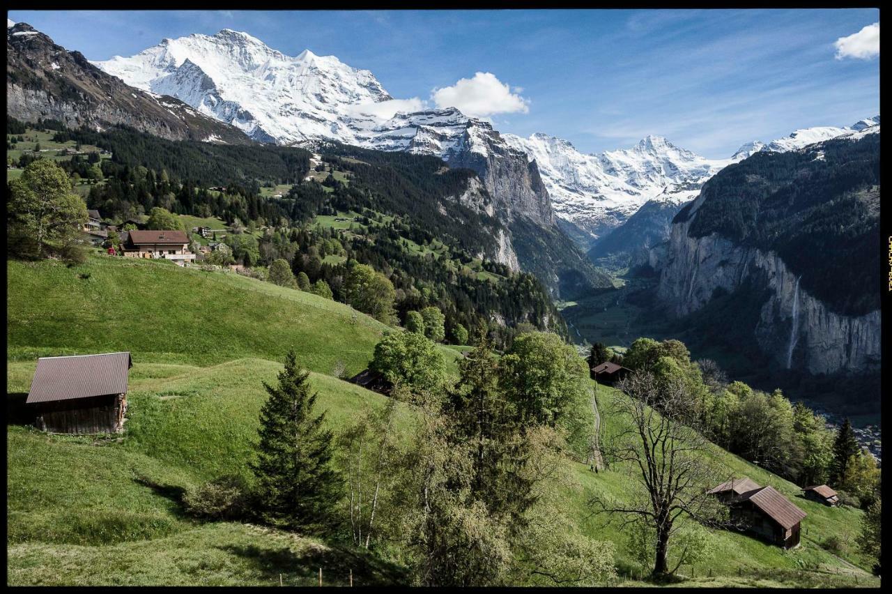 Appartamento O 68 Haus Bel Air Wengen Esterno foto