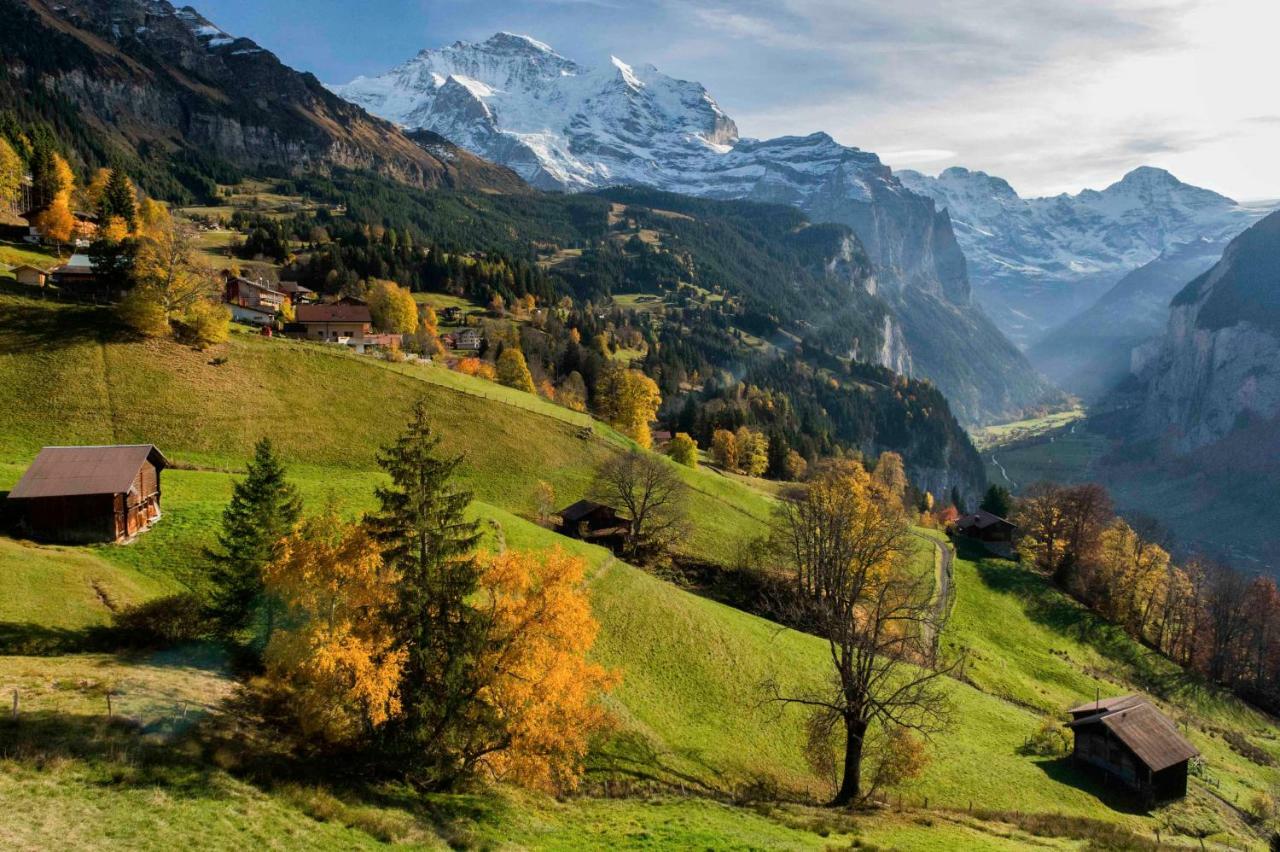 Appartamento O 68 Haus Bel Air Wengen Esterno foto